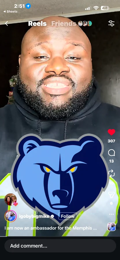 Fan on game day